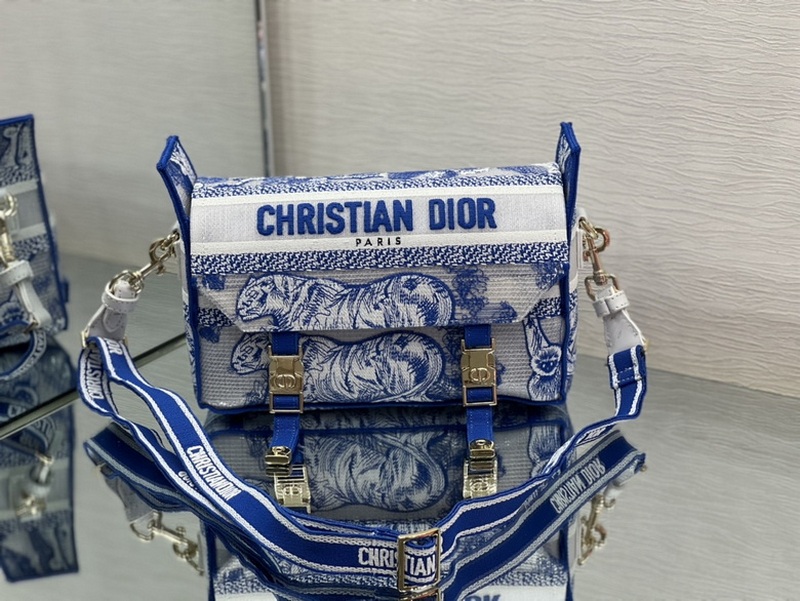 DIOR Handbags 14